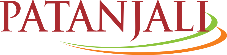 Patanjali food processing steam boiler installation in Haridwar